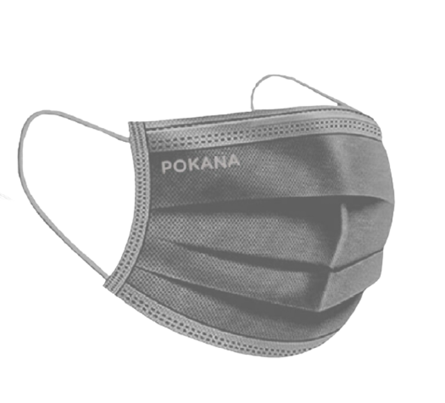 B&G 4-ply Earloop Medical Face Masker 
