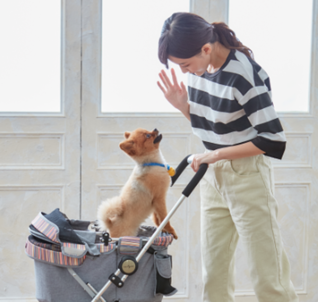 Pettio Petstro 410PA-GST