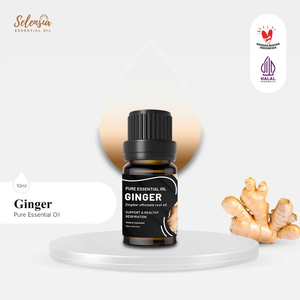Sinkona Indonesia Lestari  Selensia Ginger Pure Essential Oil 
