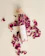 Organic & Joy Tea in Tube Big Size - Rose Petals 1