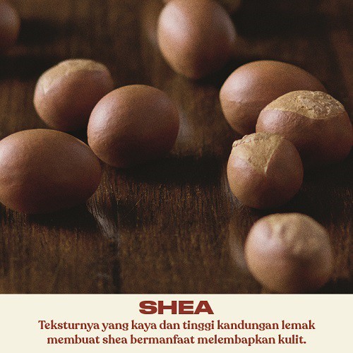 Shea Body Scrub 5