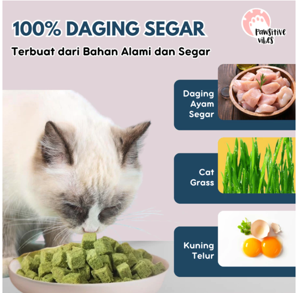  Pawsitive Cat Grass Dadu