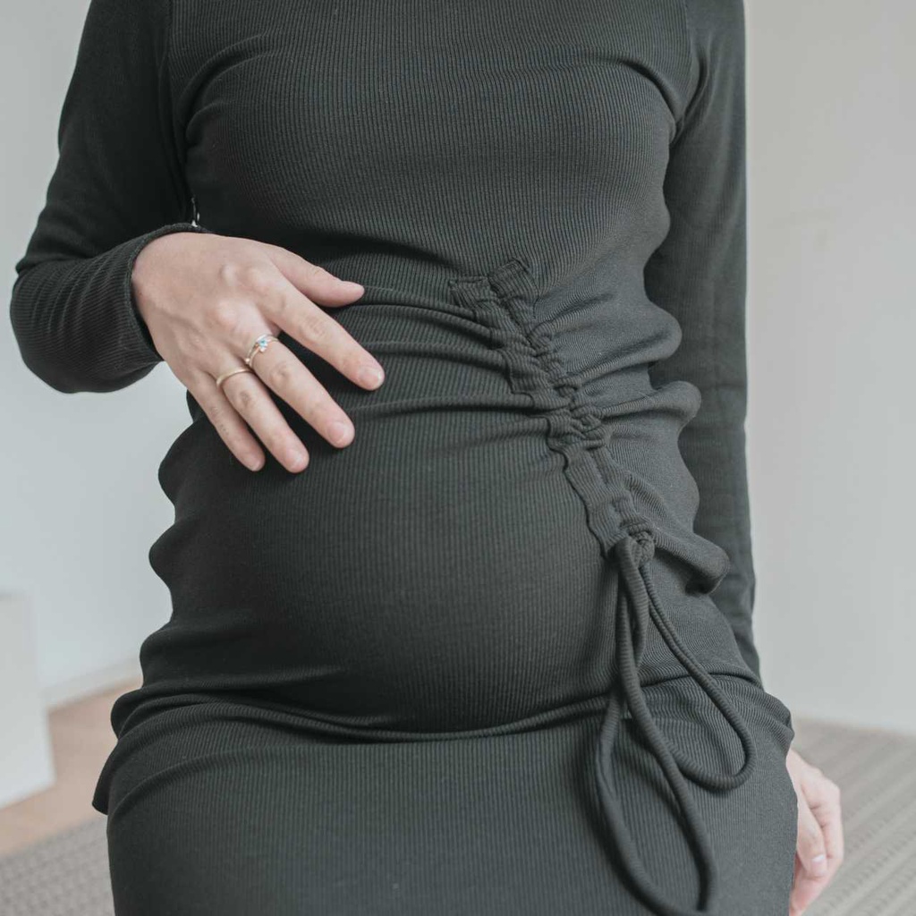 Hellomommy Gia Maternity & Nursing Dress