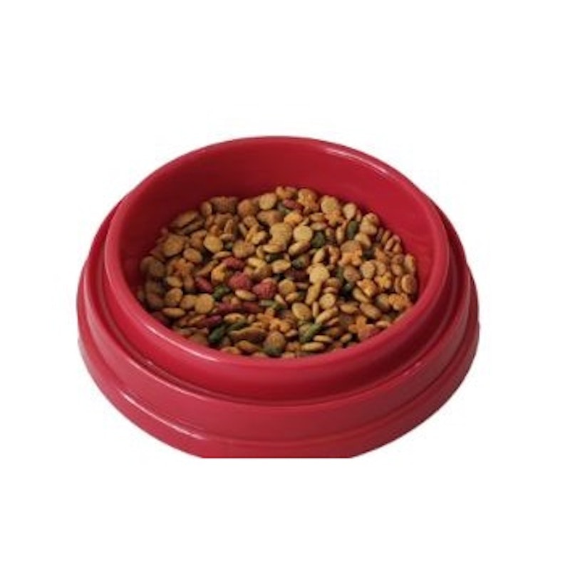 Hamsgehog Daily Food For Hedgehog 3