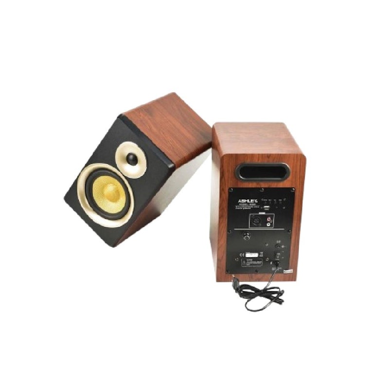 Ashley Monitor Active Speaker 1