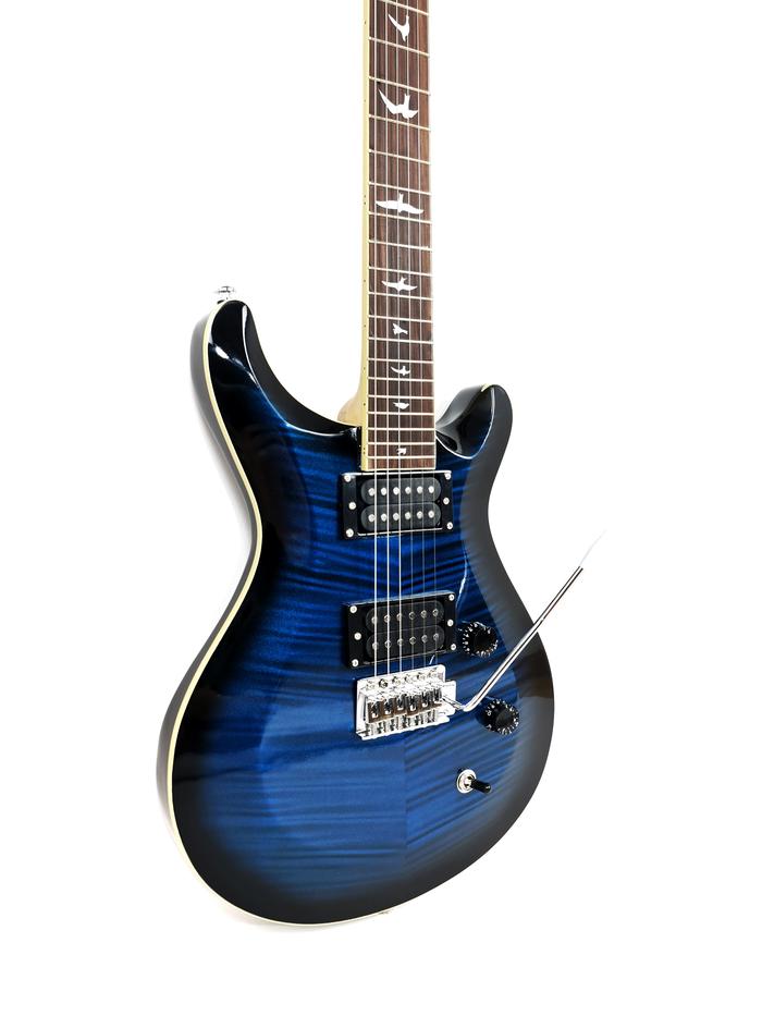 Paul Reed Smith SE Paul's Guitar 2