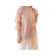 Rhei Collection Rhei Collection Jaz Top 1