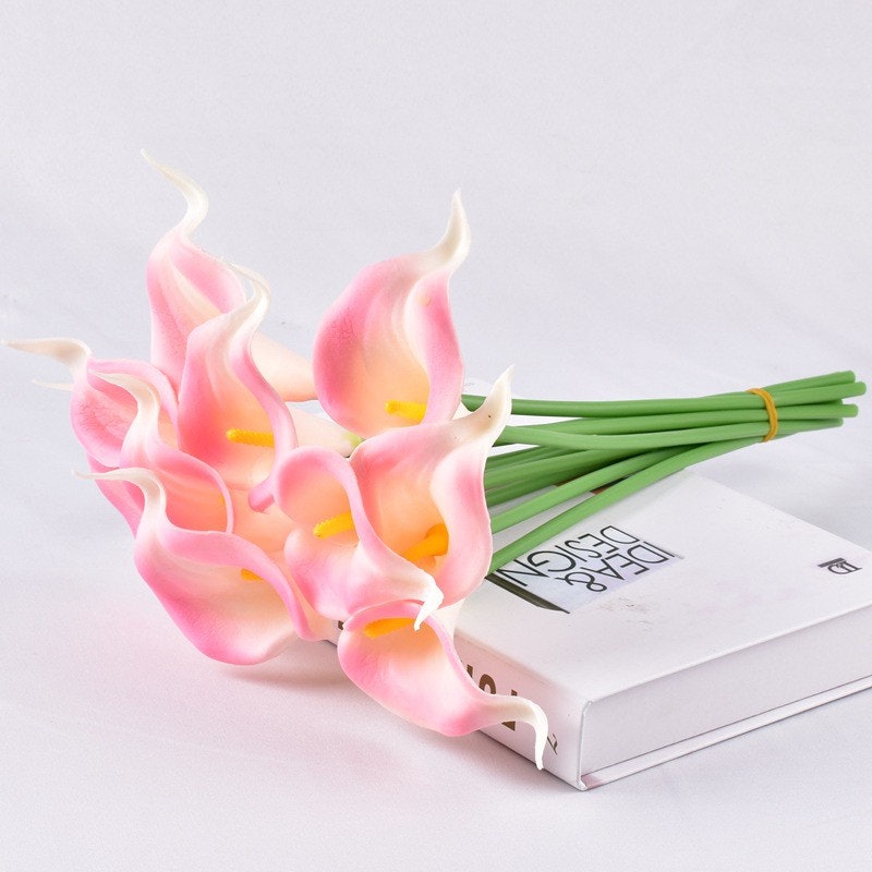 Bunga Lily Hias Calla Cala Lili 3