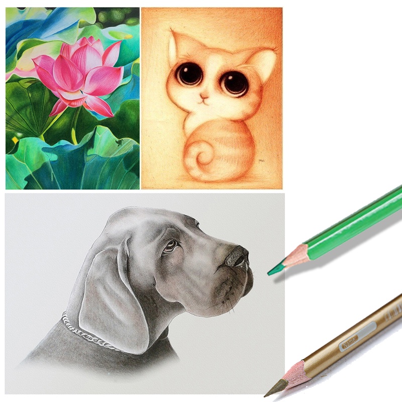 Zhejiang Jiuling Pencil & Brush Giorgione Classic-Colour Pencils 48 Colors