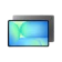Samsung Electronics Galaxy Tab S10 FE 1