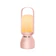 Quality Life Collection GOOJODOQ Night Light Bluetooth Speaker 1