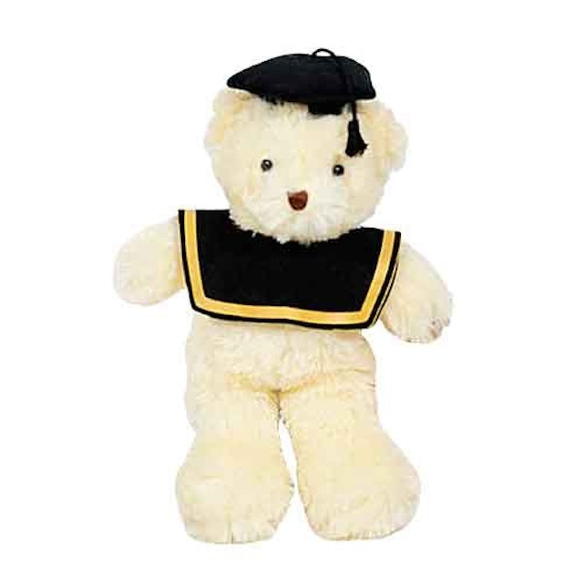 Boneka Wisuda Teddy Bear Toga 1