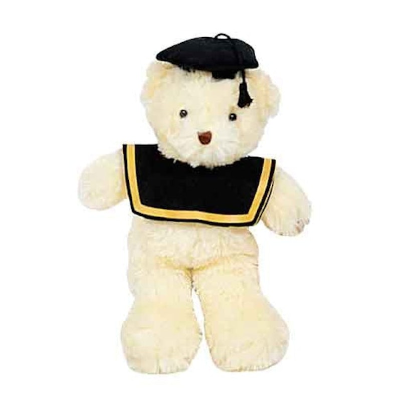 Boneka Wisuda Teddy Bear Toga 1