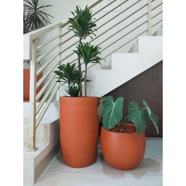 Pot Teracota Pot tanaman terakota premium kapsul