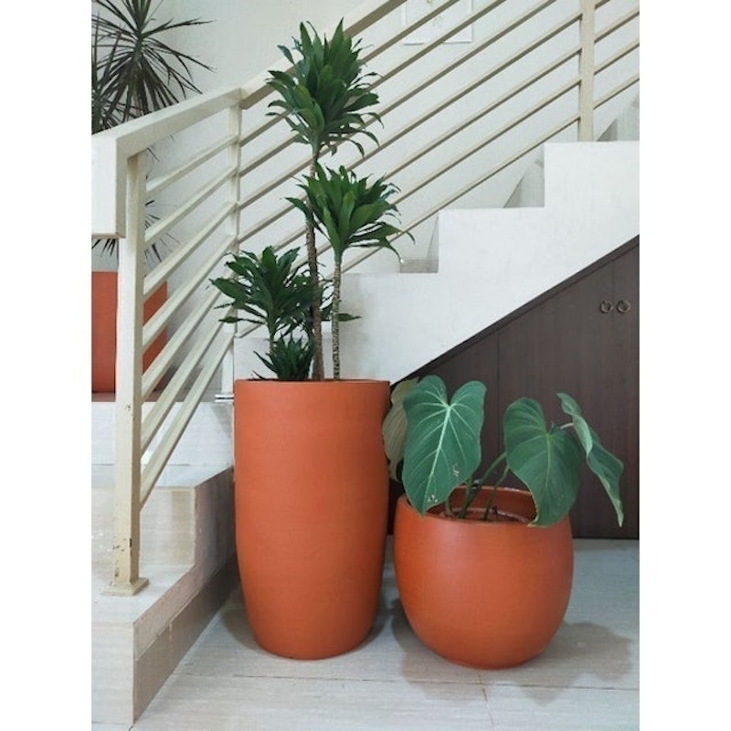 Pot tanaman terakota premium kapsul 4
