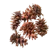 Mainan Kelinci Pine Cone 1