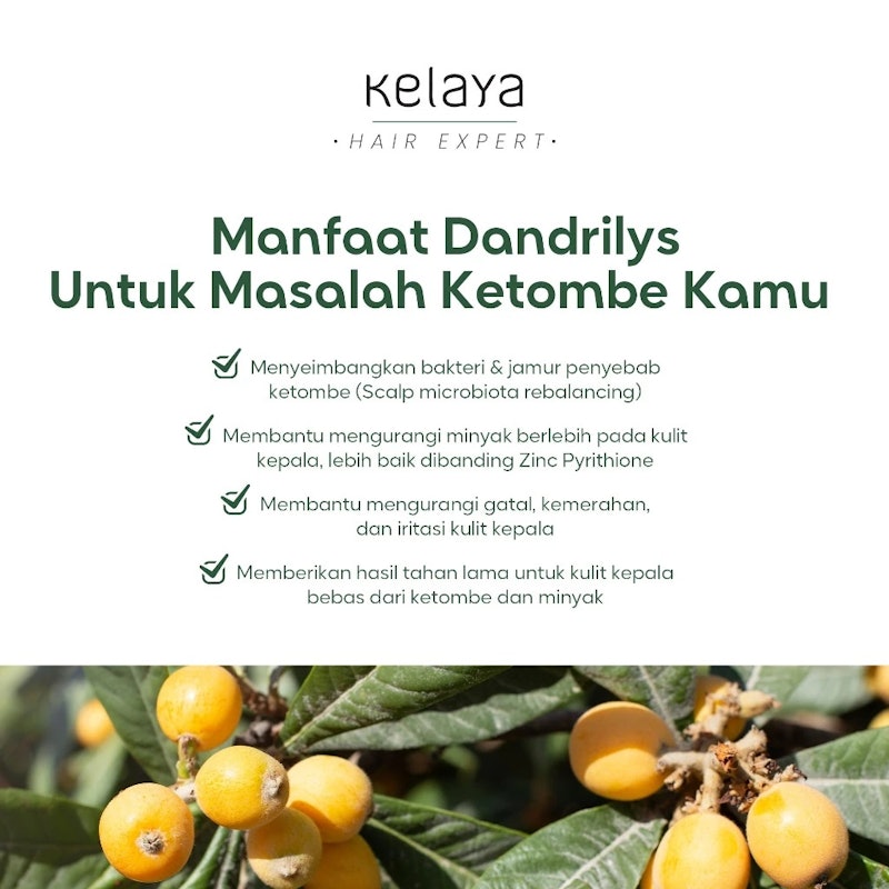 Kelaya Hair Expert Anti-Dandruff Shampoo 3