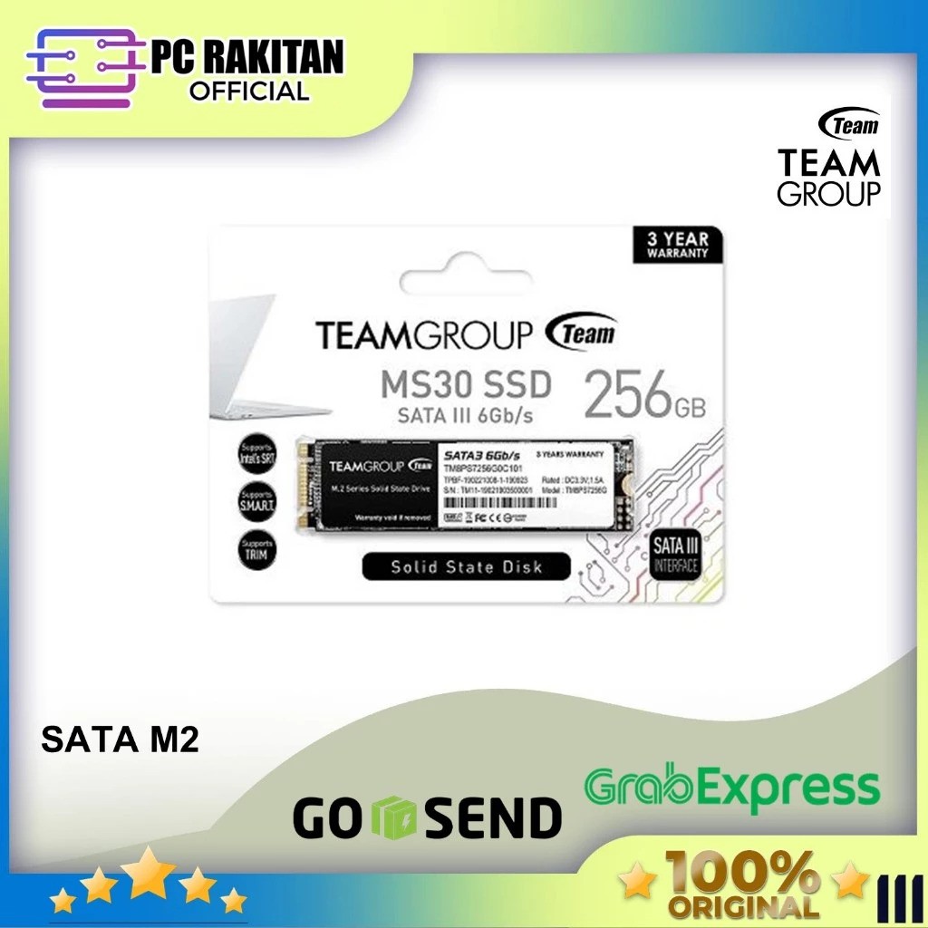 Team Group Team MS30 SSD SATA III 256 GB