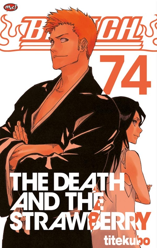 Bleach 1