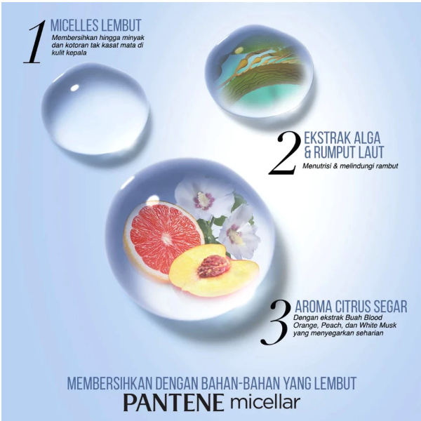 Procter & Gamble Pantene Micellar Detox & Purify Algae Extract Scalp Shampo