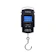 Guangzhou Weiheng Electronic Technology Weiheng Digital Portable Scale 1