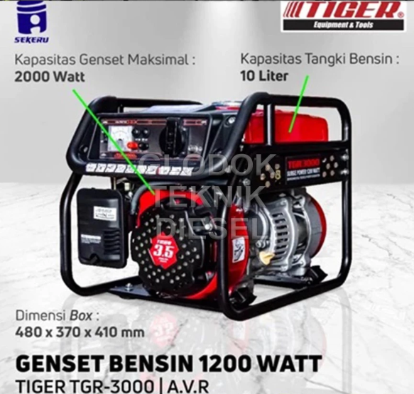  TIGER Portable Generator TGR3000