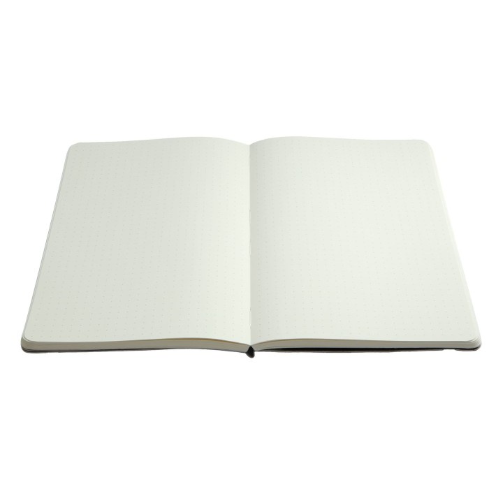  Notebook Clementine