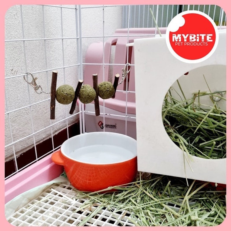 Banana Hay Ball & Apple Stick 4