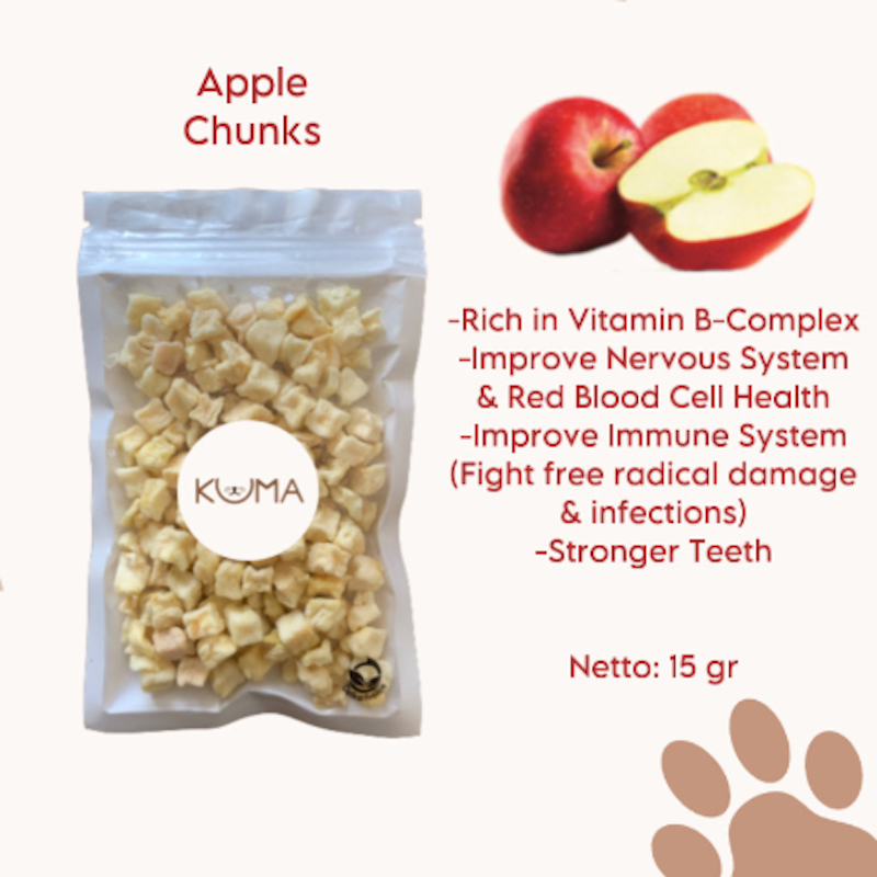 Healthy Dried Fruit Snacks 4