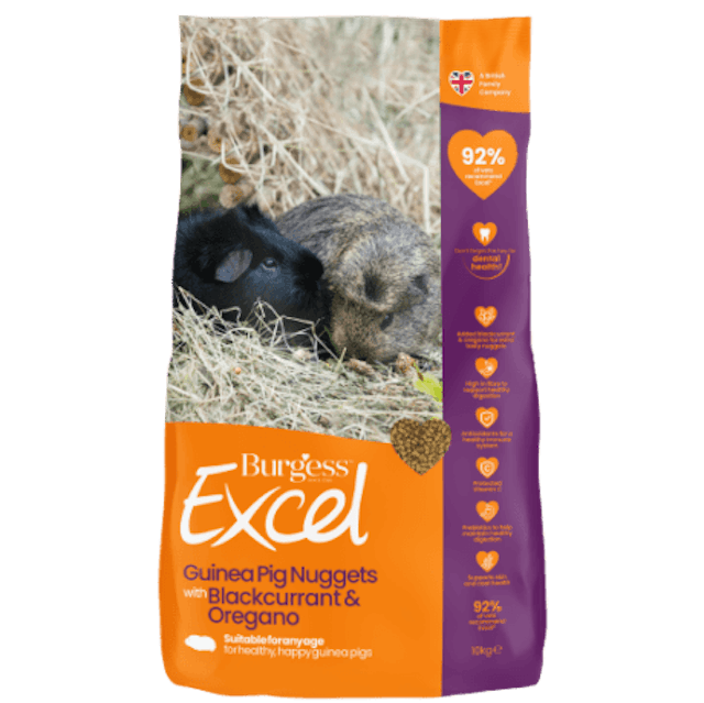 Excel Guinea Pig Nuggets with Blackcurrant & Oregano