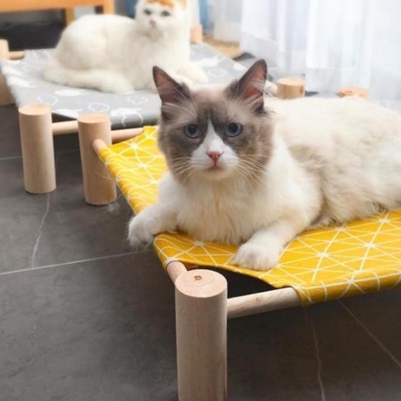 Pet Bed Hammock 3