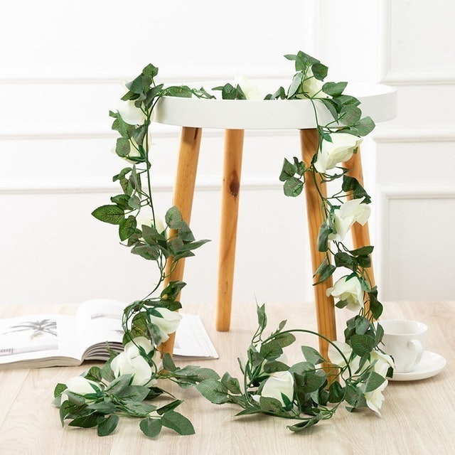 Kunataruma  Bunga Rambat Mawar Dekorasi Tanaman Hias