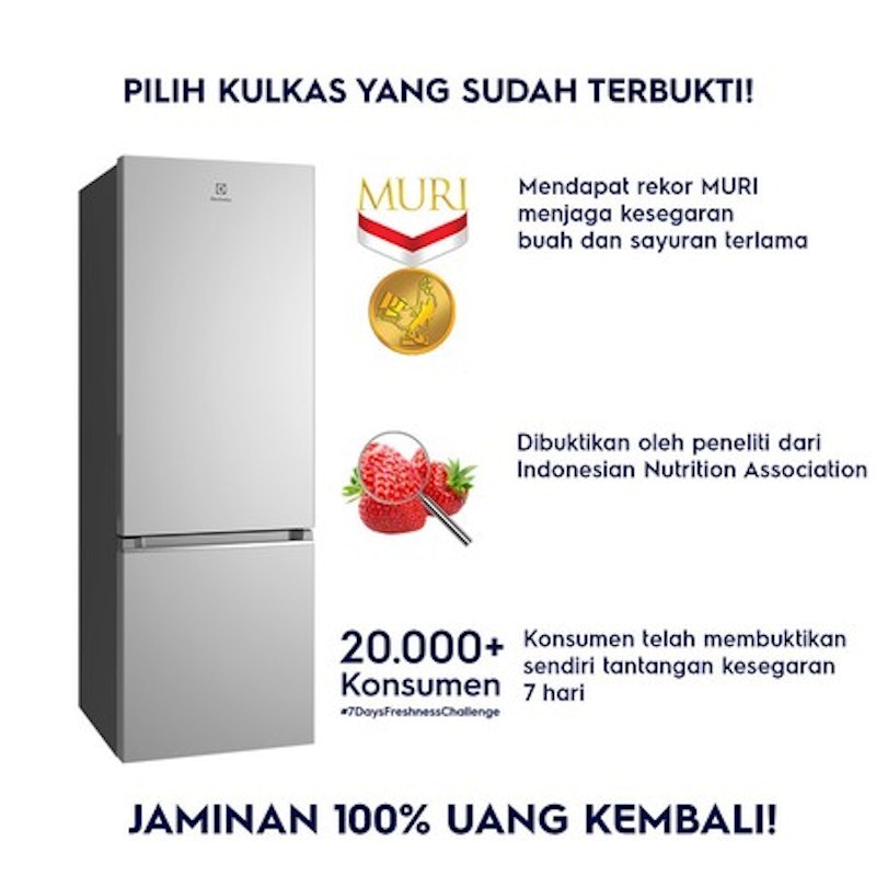 Kulkas Freezer Bawah UltimateTaste 300 335L 3