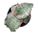 Sansevieria 'Silver Blue' 1