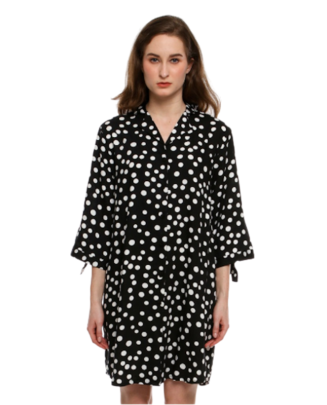 Big Dotted Dress 1