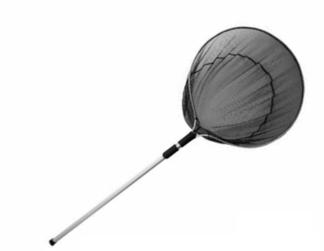 Jaring Serok Penangkap Ikan Koi Besar D80