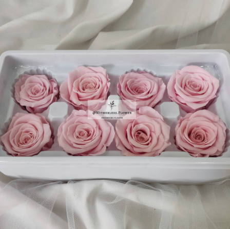 Preserved Rose 4-5 cm 5