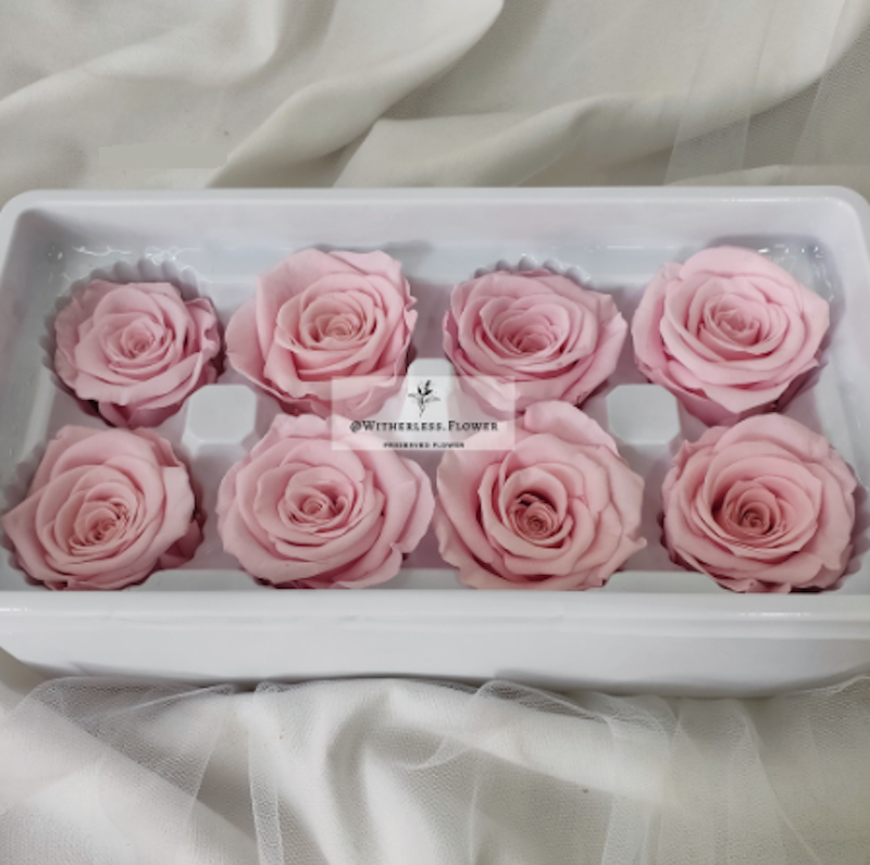 Preserved Rose 4-5 cm 5
