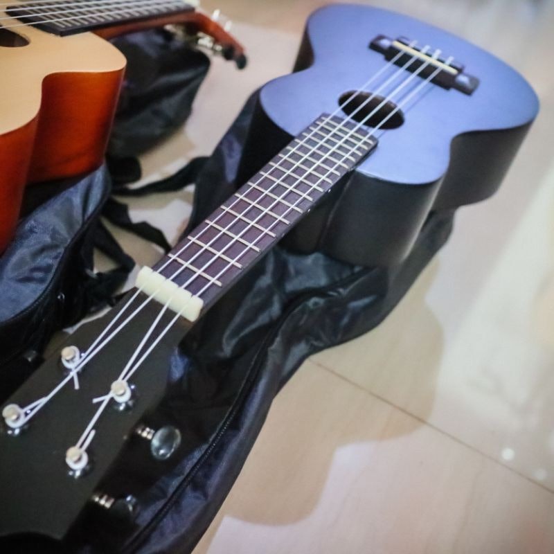 Ukulele Concert 3