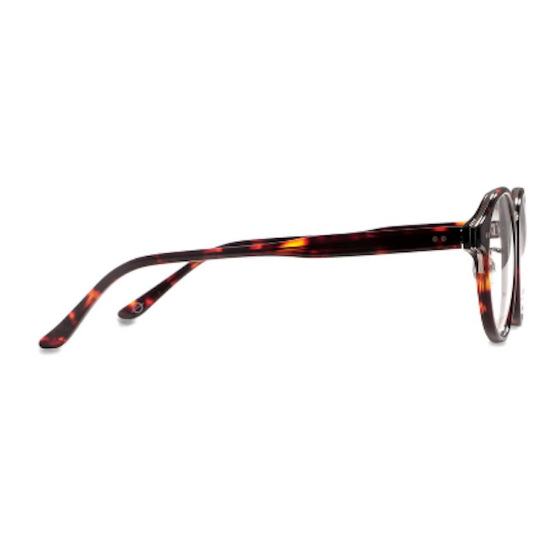 Frame Glades Dark Brown Tortoise 3