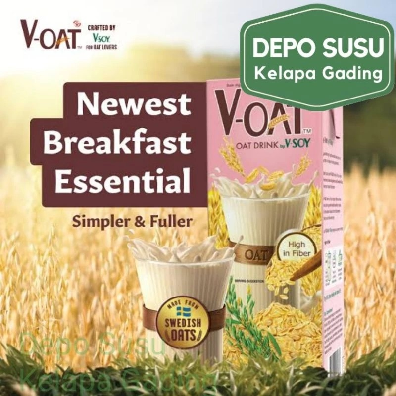 Green Spot V-Oat Oat Drink by V-Soy