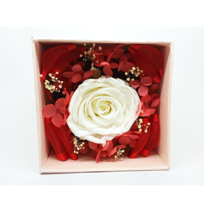Bloom Box 1