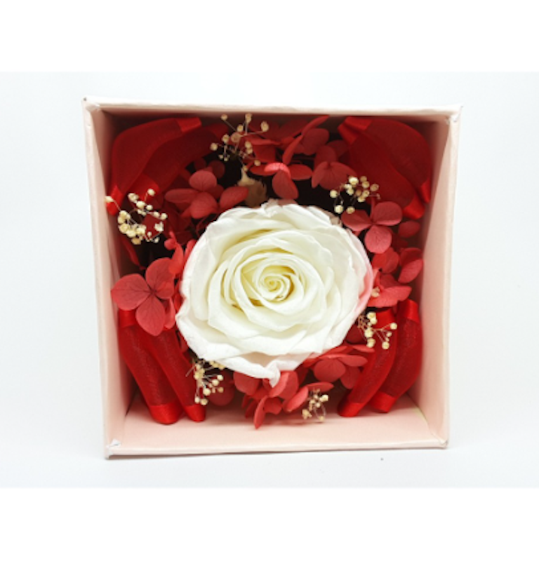 Bloom Box 1