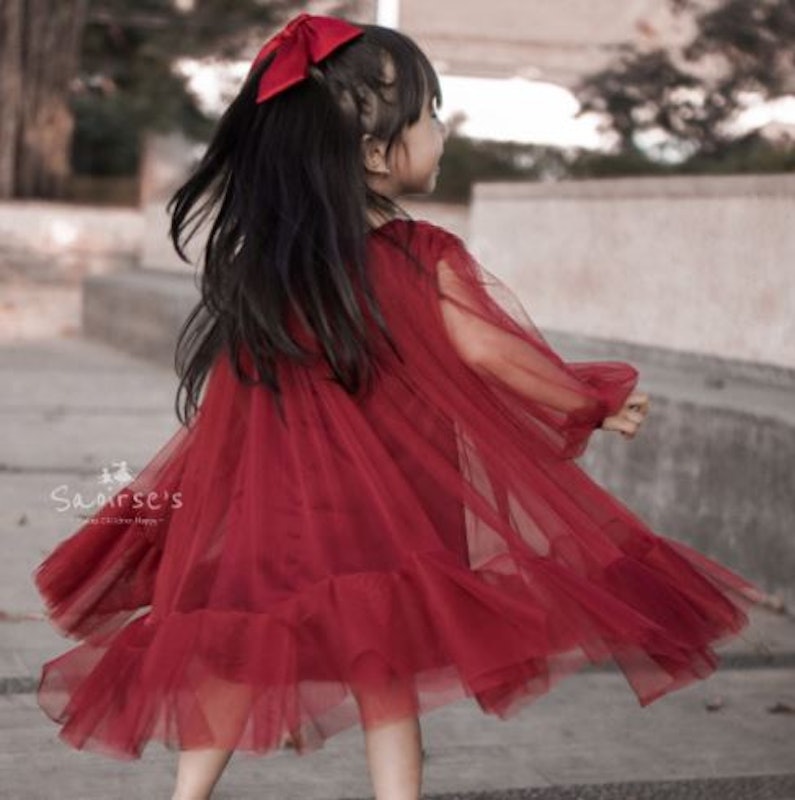 Saoirse's Zelia Tulle Dress 2