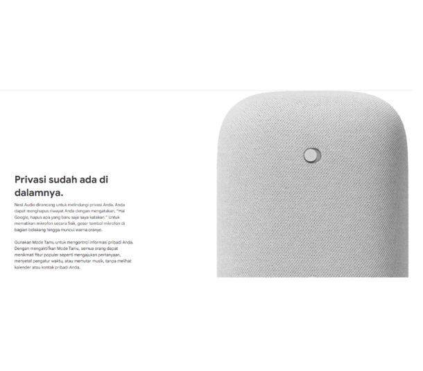 Google Google Nest Audio