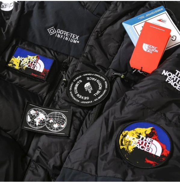The North Face 7 Summits Himalayan Down Parka GTX 4