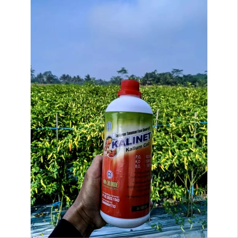 Mitra Bertani Kalinet Kalium Cair