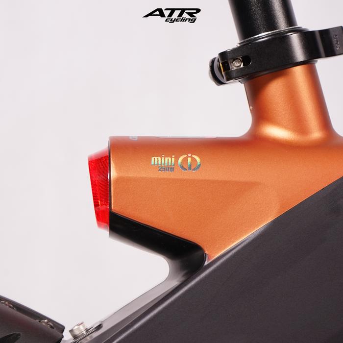 Terang Dunia Internusa United Mini IO