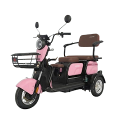 Exotic E-Bike Sierra