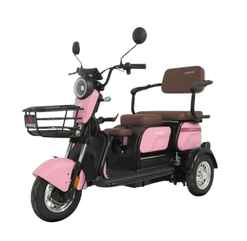 Exotic E-Bike Sierra